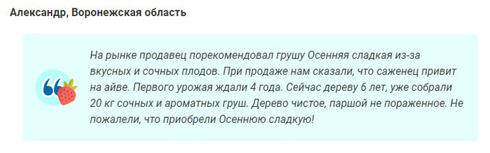 Сорт груши Осенняя Сладкая (12 фото): описание, опылители, посадка, уход и отзывы садоводов