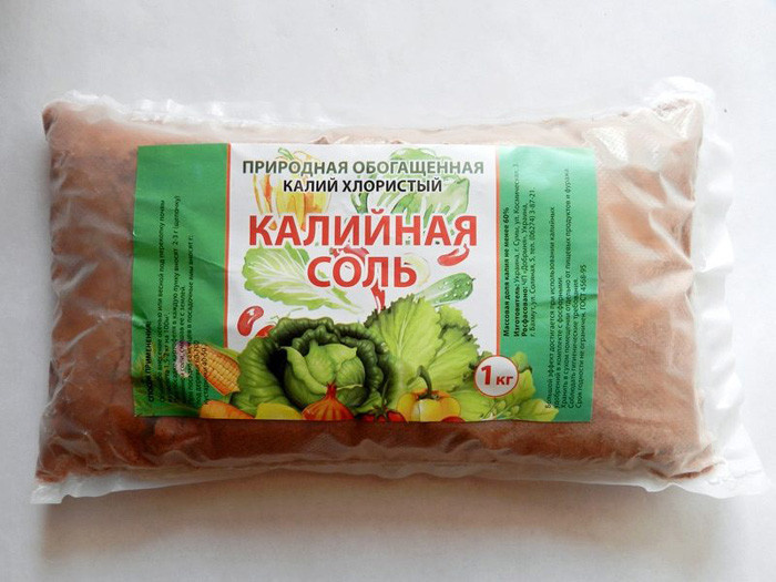 Орех Пекан