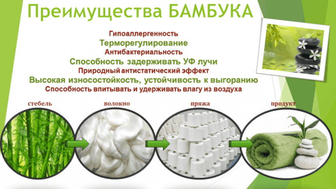 Бамбук: трава или дерево, куст? Что это за фото