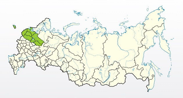 Яблоня Аэлита