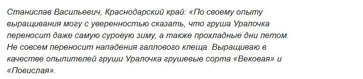 Сорт груши Уралочка (7 фото): описание зимостойкого сорта, характеристики, выращивание и отзывы садоводов