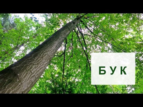 Книга.