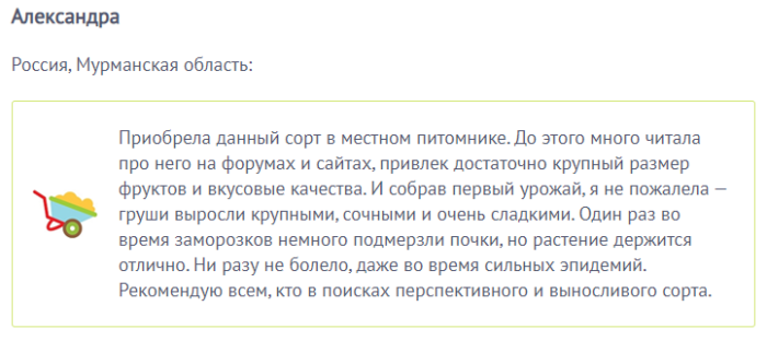 Сорт груши Кокинская (9 фото): описание, характеристика, опылители, посадка, уход и отзывы садоводов