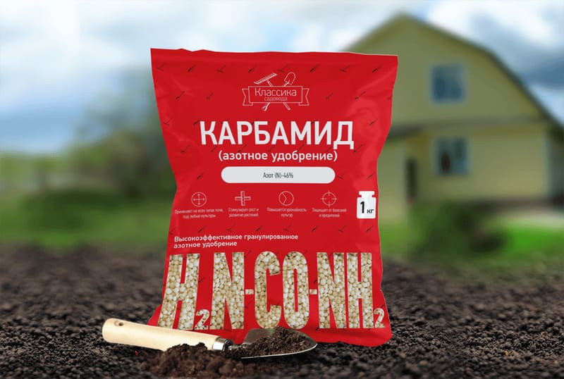 В профилактических целях крону в течение сезона опрыскивают раствором мочевины