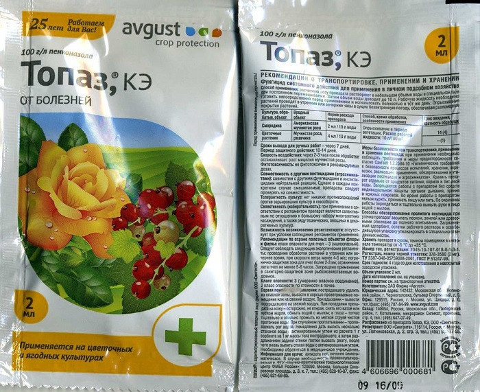 Орех Пекан