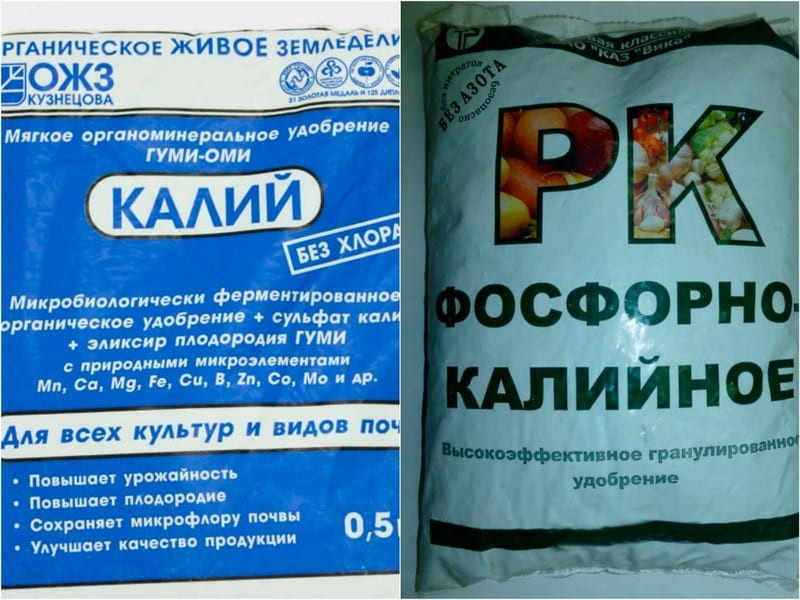 Дополнительно в питательный состав добавляют суперфосфат и удобрения на основе калия и фосфора