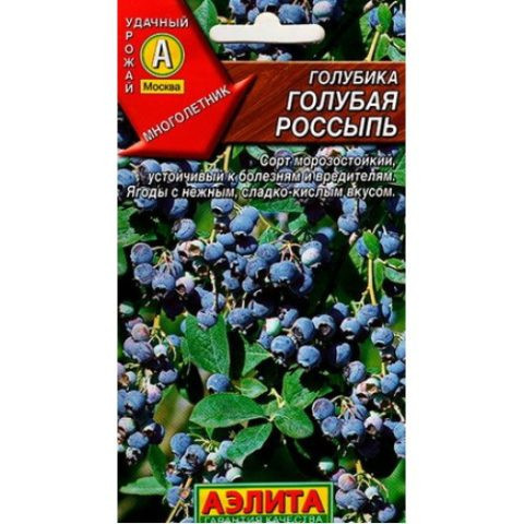 Голубика в Сибири