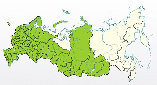 Яблоня Аркад