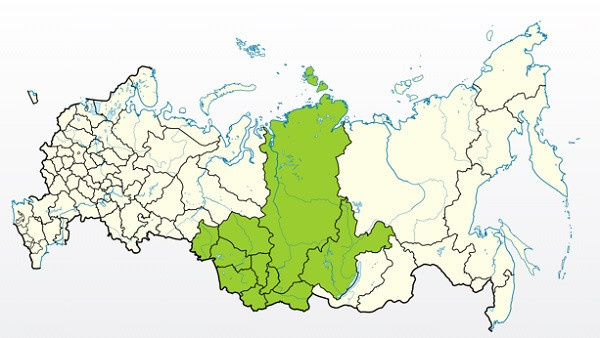 Яблоня Толунай