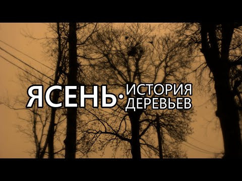 Пепел. История деревьев – выпуск 1