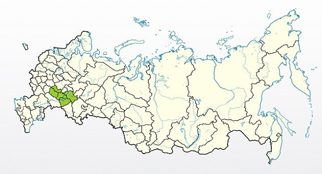 Яблоня Утес