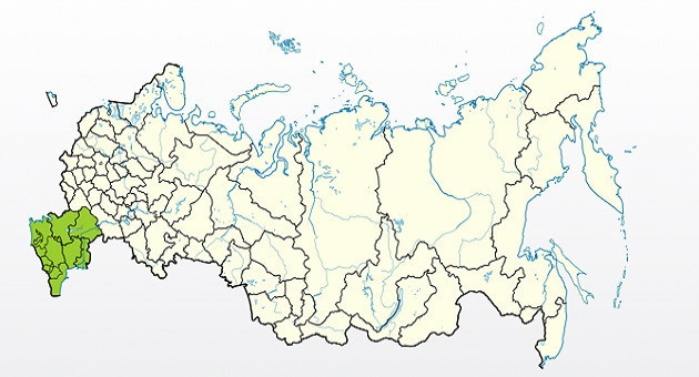 Яблоня Старкримсон