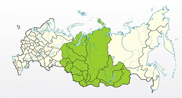 Яблоня Свердловчанин