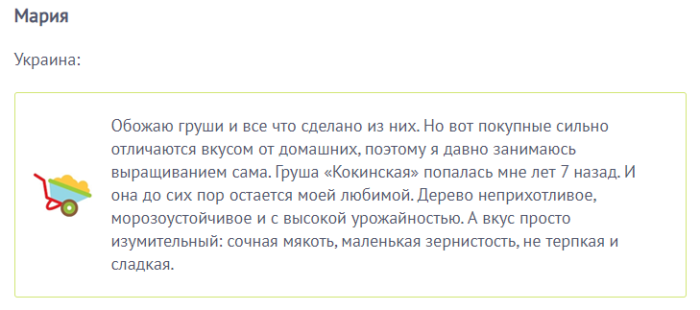 Сорт груши Кокинская (9 фото): описание, характеристика, опылители, посадка, уход и отзывы садоводов