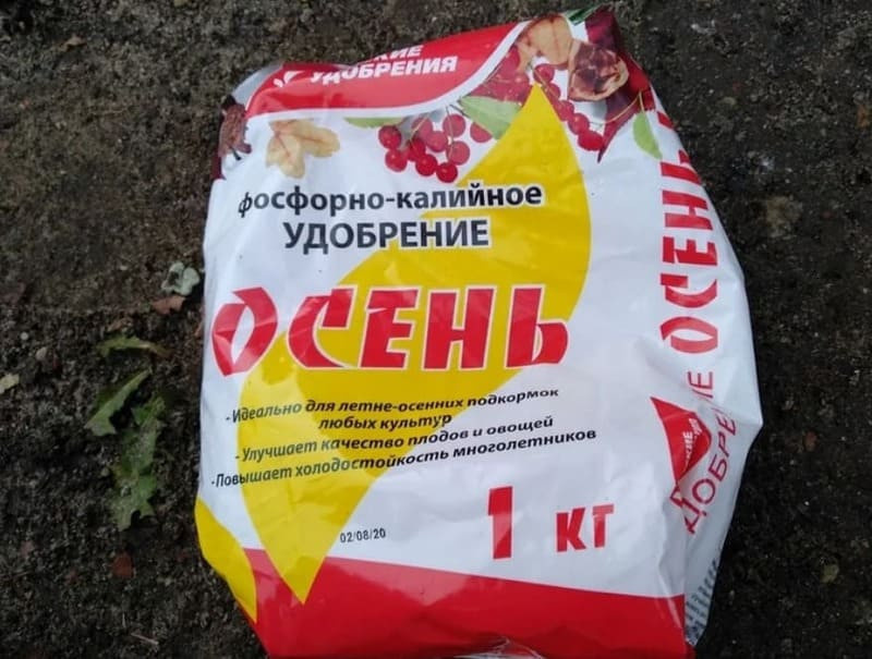 Калийно-фосфорные удобрения вносят осенью