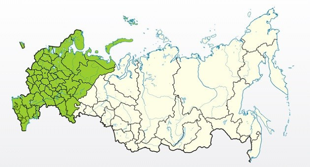 Яблоня Красавица сада