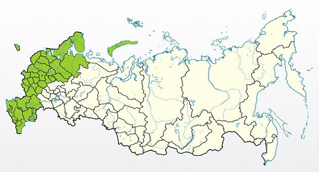 Яблоня Уэлси