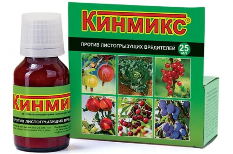 Для борьбы с жуками при массовом их уничтожении применяют химический препарат Кинмикс