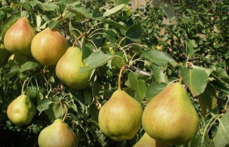 Описание космической лампочки