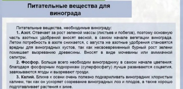 Виноград Супер Экстра. Описание сорта, фото, отзывы