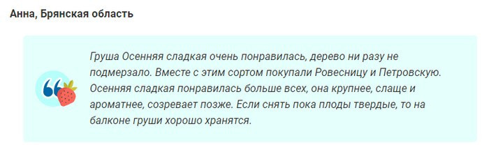Сорт груши Осенняя Сладкая (12 фото): описание, опылители, посадка, уход и отзывы садоводов