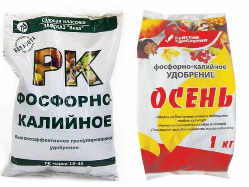 При подготовке к зимнему периоду вносят удобрения на основе фосфора и калия
