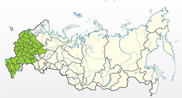 Яблоня Конференция